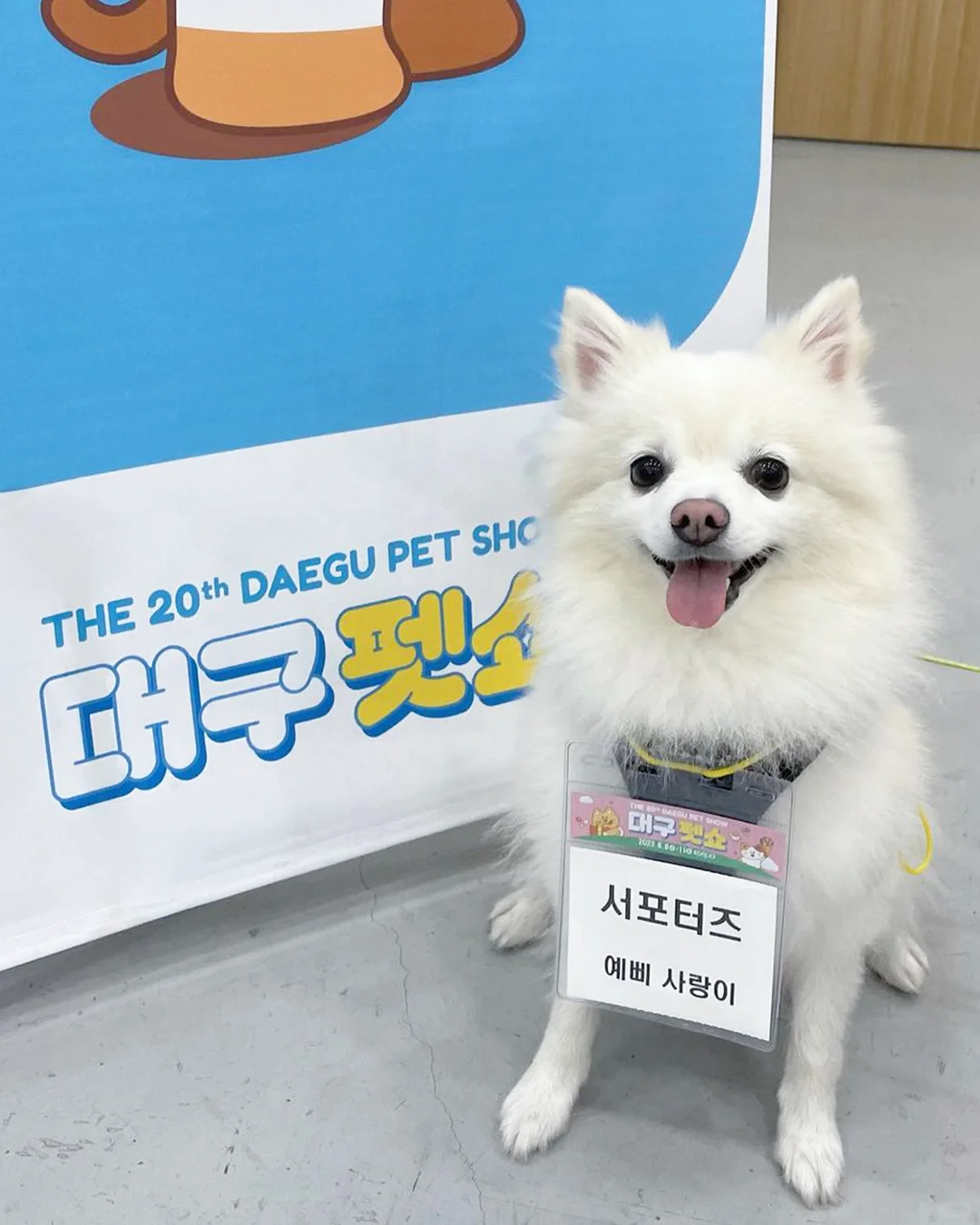 大邱会展中心（EXCO）?