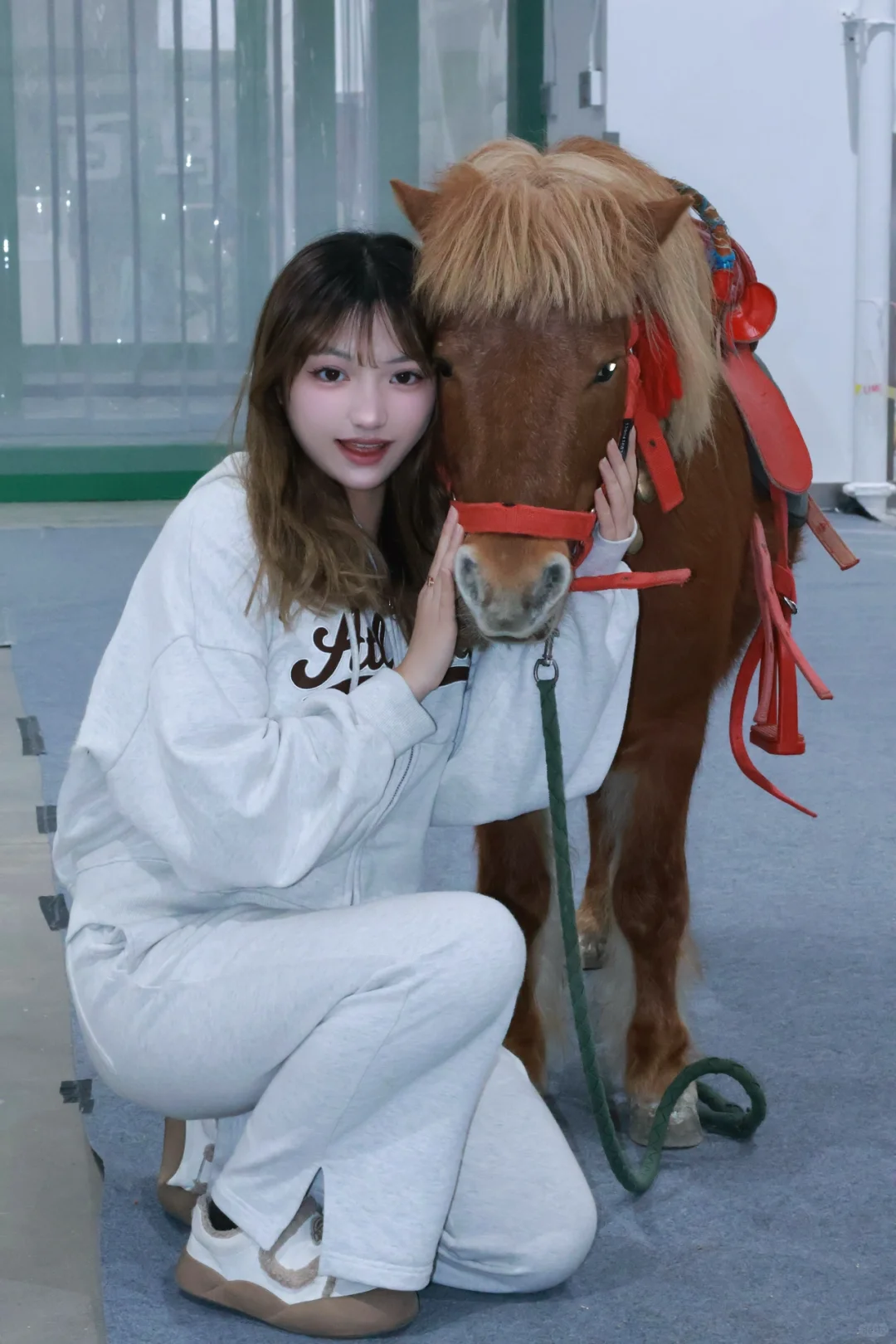 苏州！！在这里居然见到了卡皮巴拉?