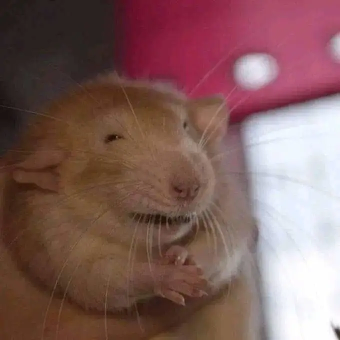 【2025 2.1】廊坊国际会展中心漫展摊宣