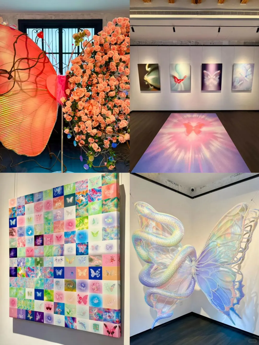 青岛2月1⃣️4⃣️个新展｜用艺术开启新年新气象