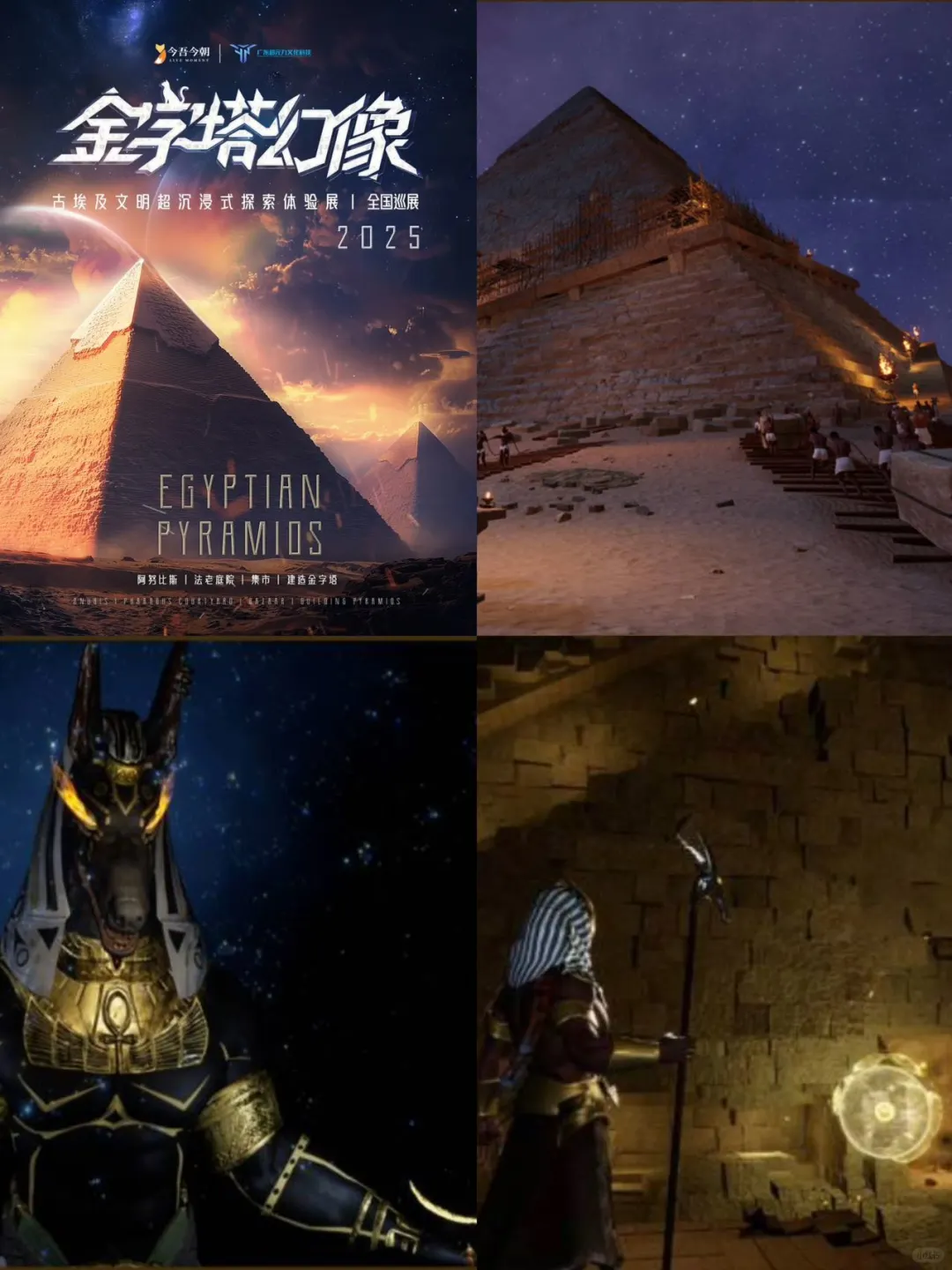 青岛2月1⃣️4⃣️个新展｜用艺术开启新年新气象