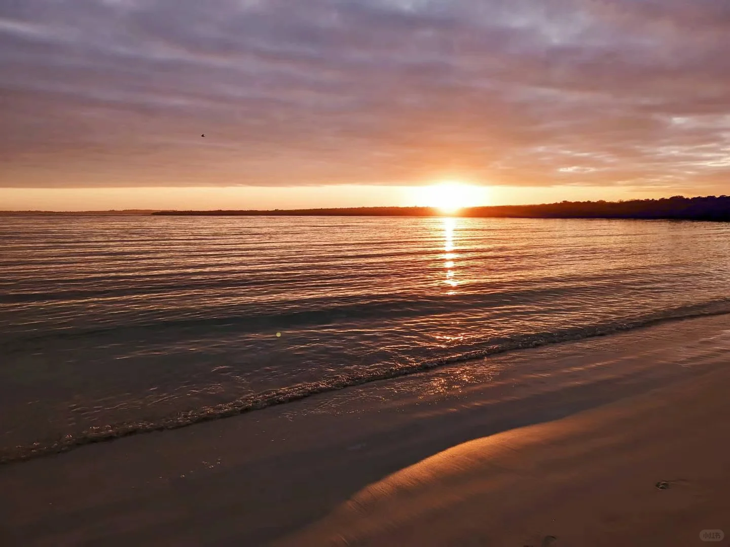 欧洲公司fully remote一年回顾（下篇）