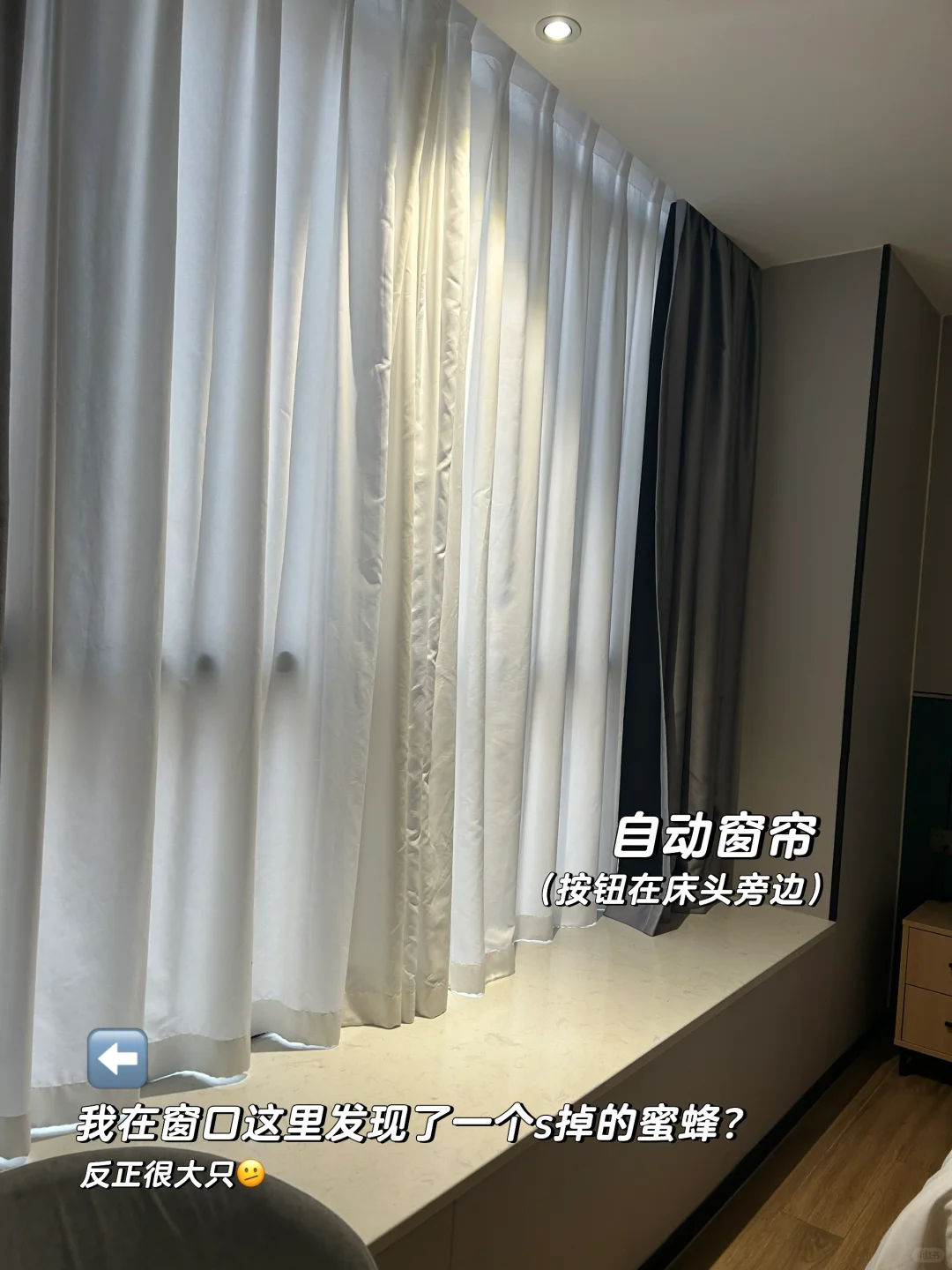 ??➡️?? 深圳酒店? 评价又好住 !