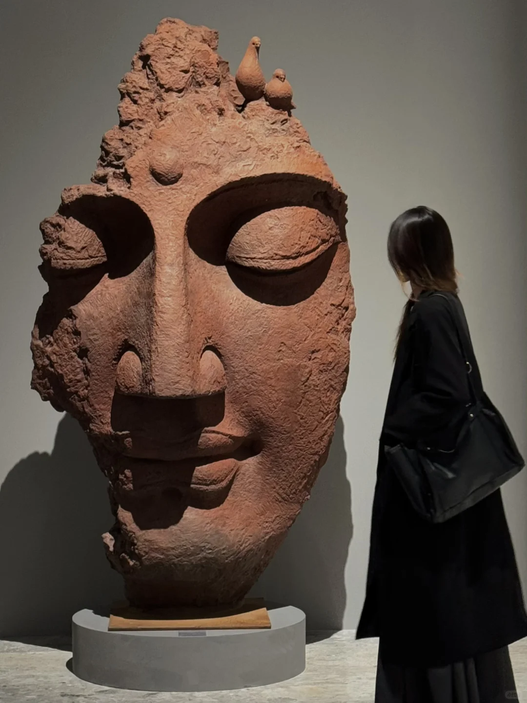 新年看展｜值得和家人一起去的美术馆合集?✨