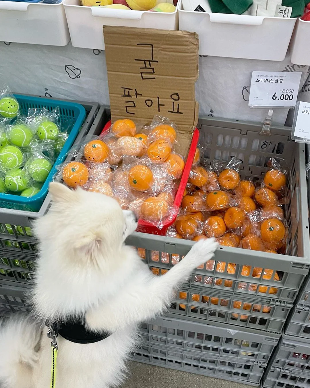 大邱会展中心（EXCO）?