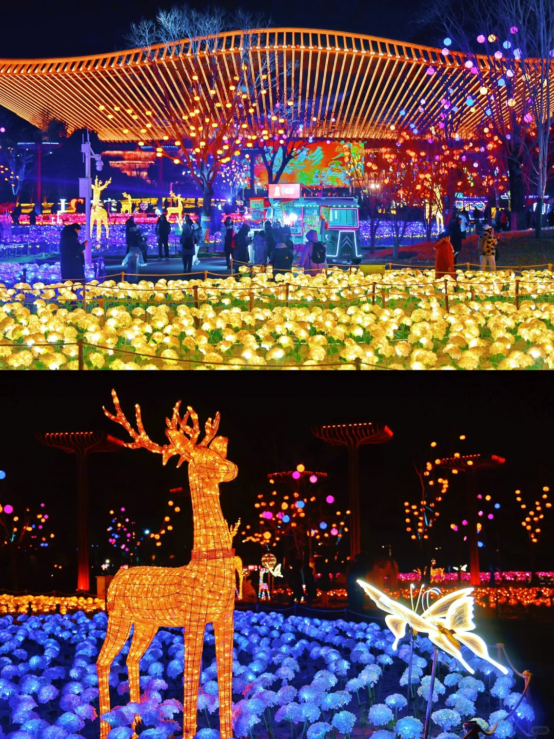 ?北京世园花灯节，玩到不想走！实探攻略