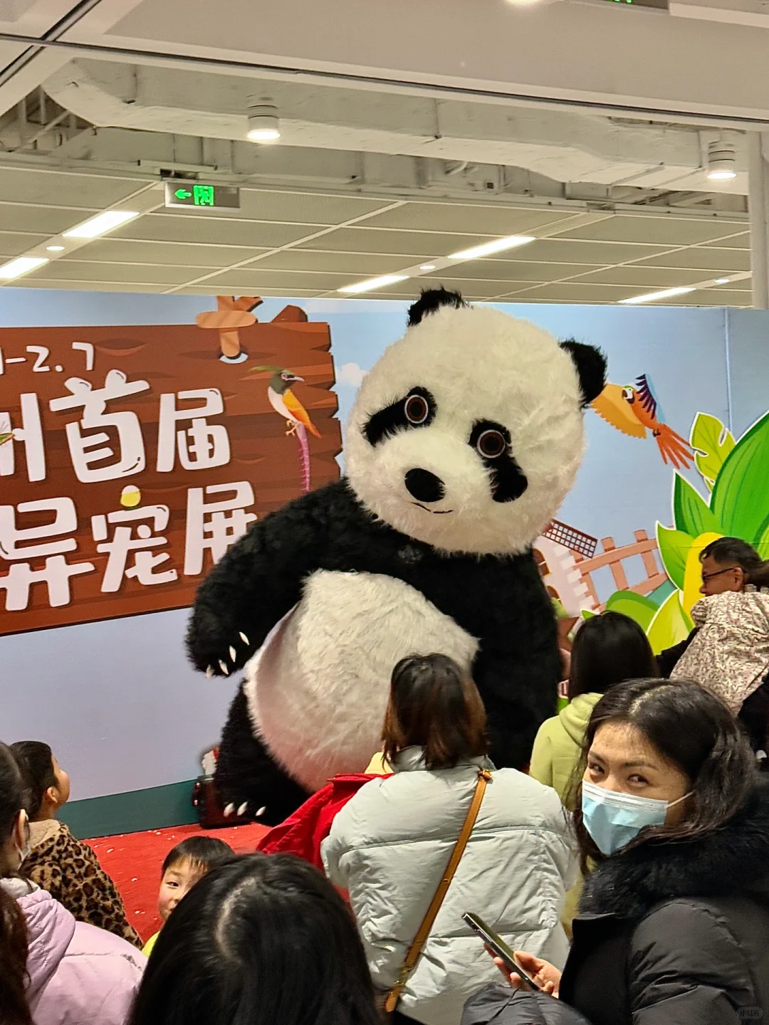 苏州！！在这里居然见到了卡皮巴拉?