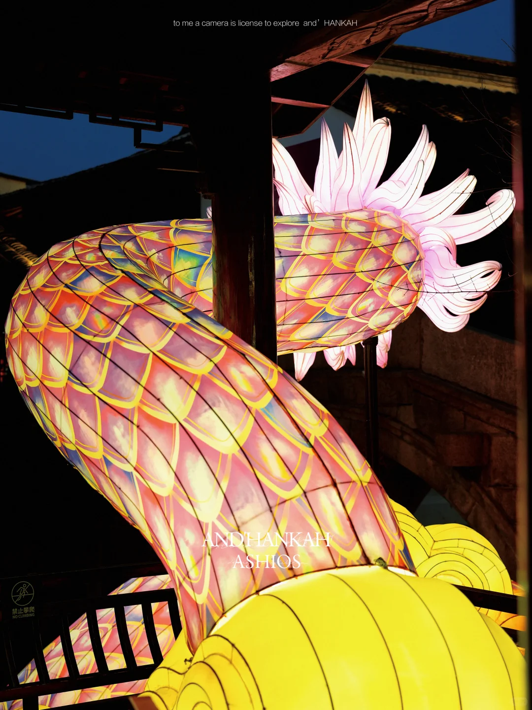 还是上海蟠龙天地会！接住了春节这波流量啊！