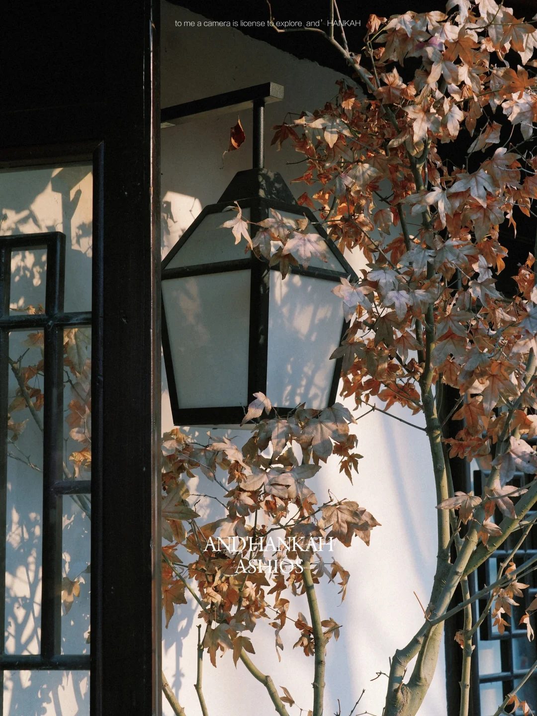 还是上海蟠龙天地会！接住了春节这波流量啊！