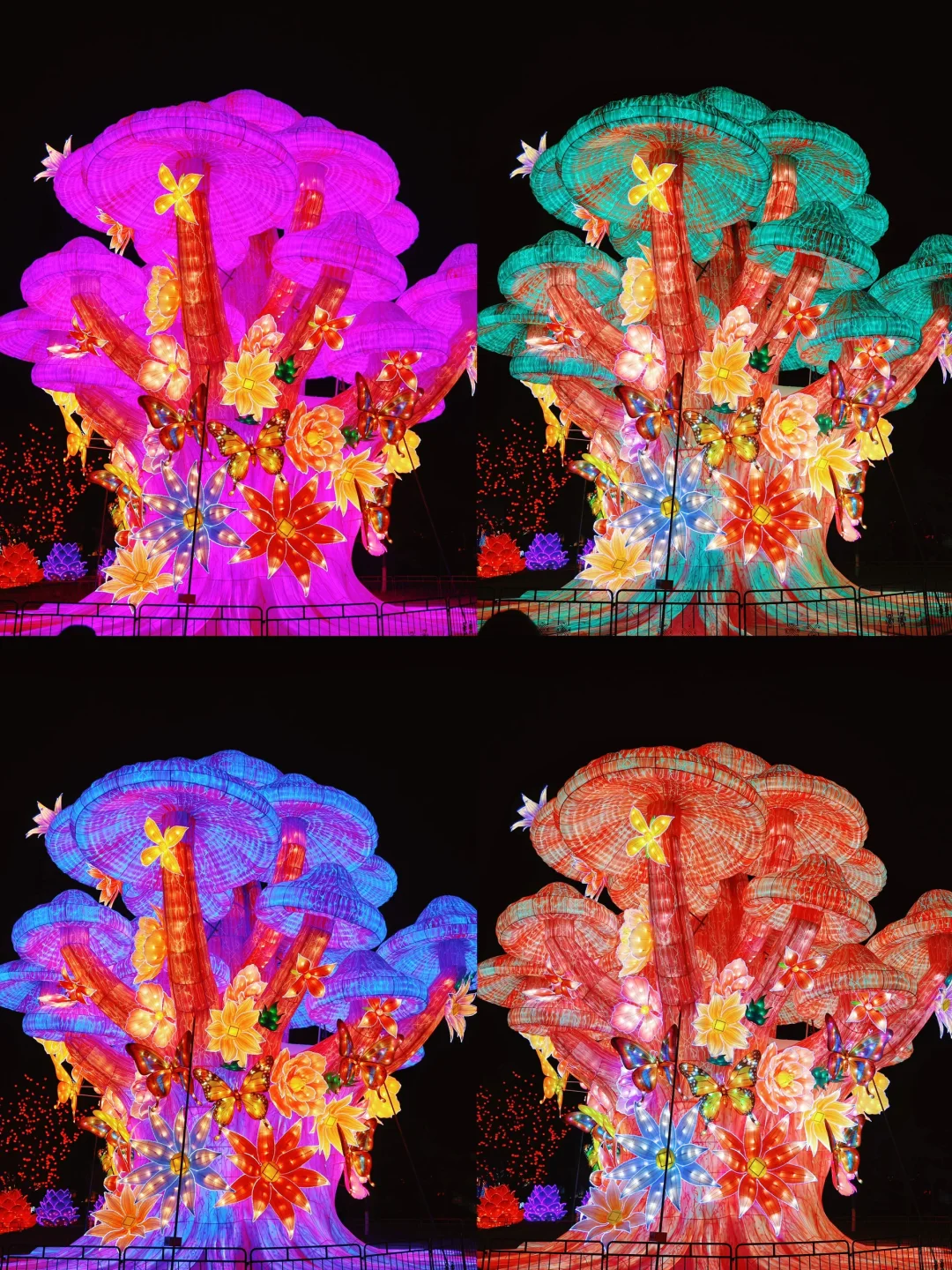 ?北京世园花灯节，玩到不想走！实探攻略