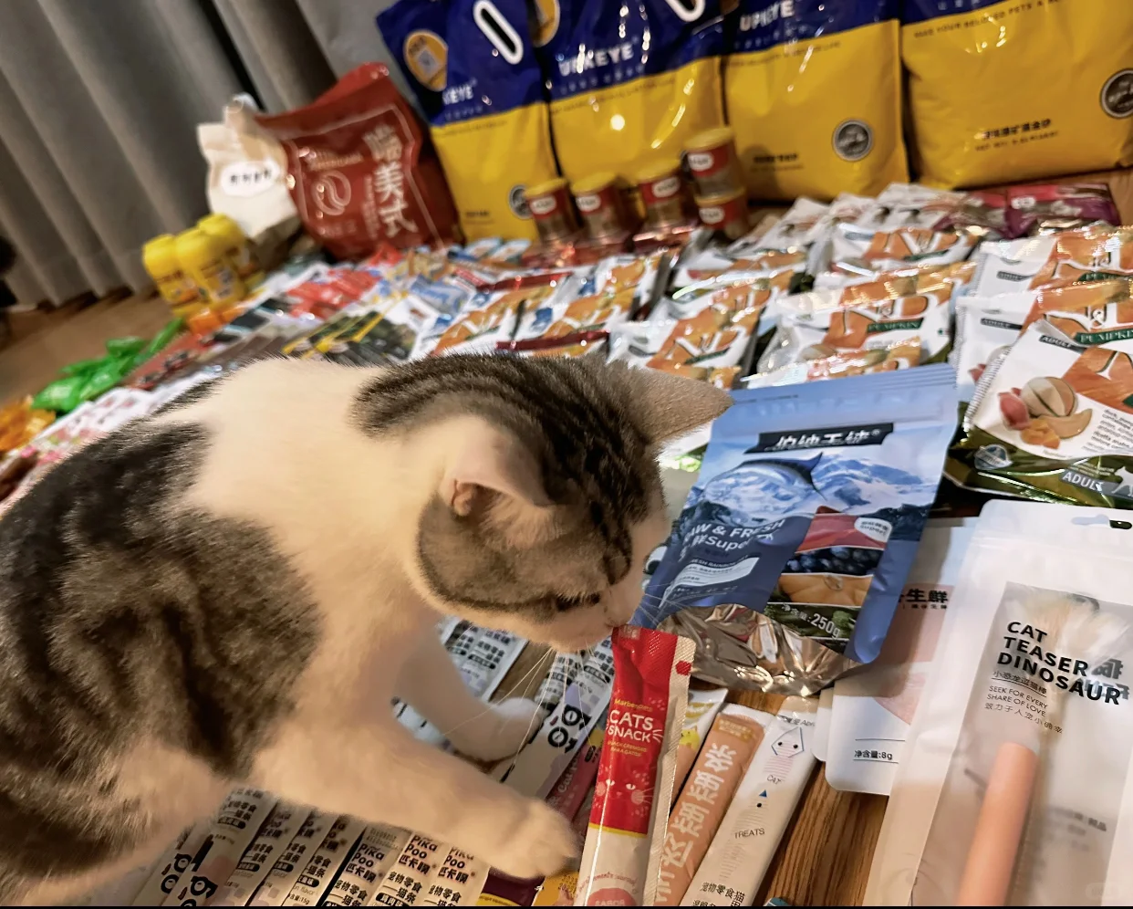 2月北京京宠展,去两天的票,快来薅羊毛