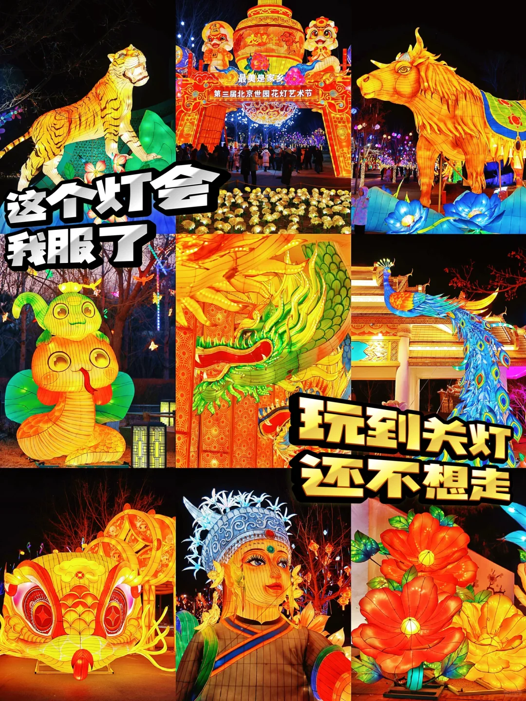 ?北京世园花灯节，玩到不想走！实探攻略