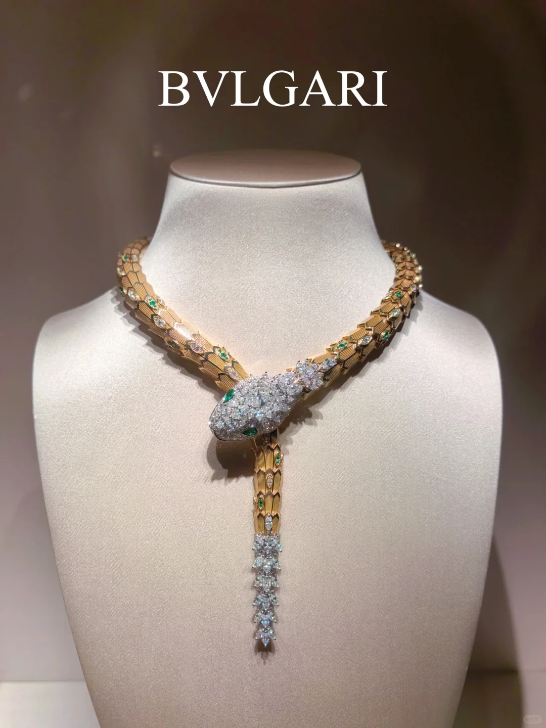 宝格丽×张园蛇年特展