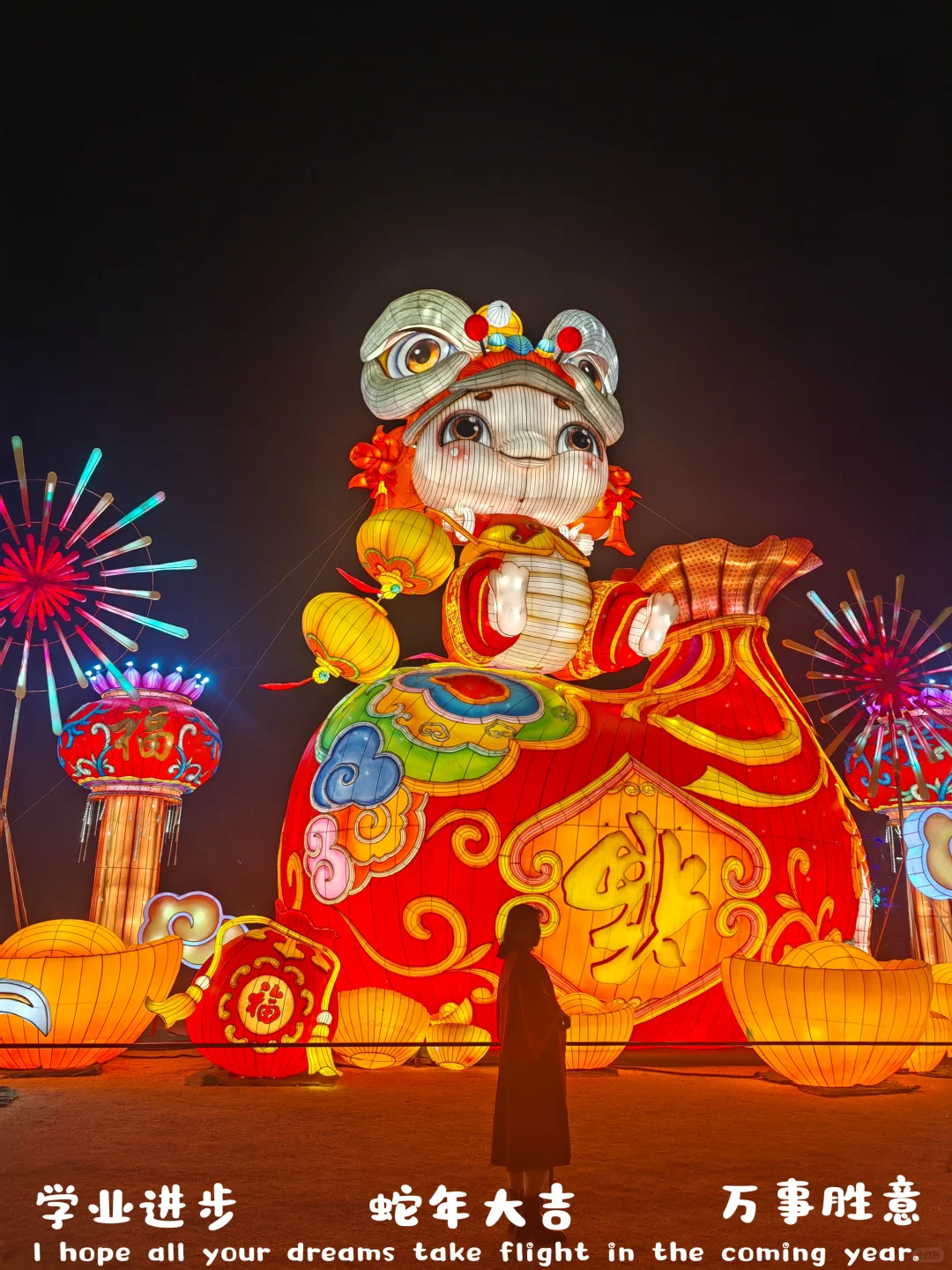 哇！不能错过的，南宁青秀山迎新灯会展！