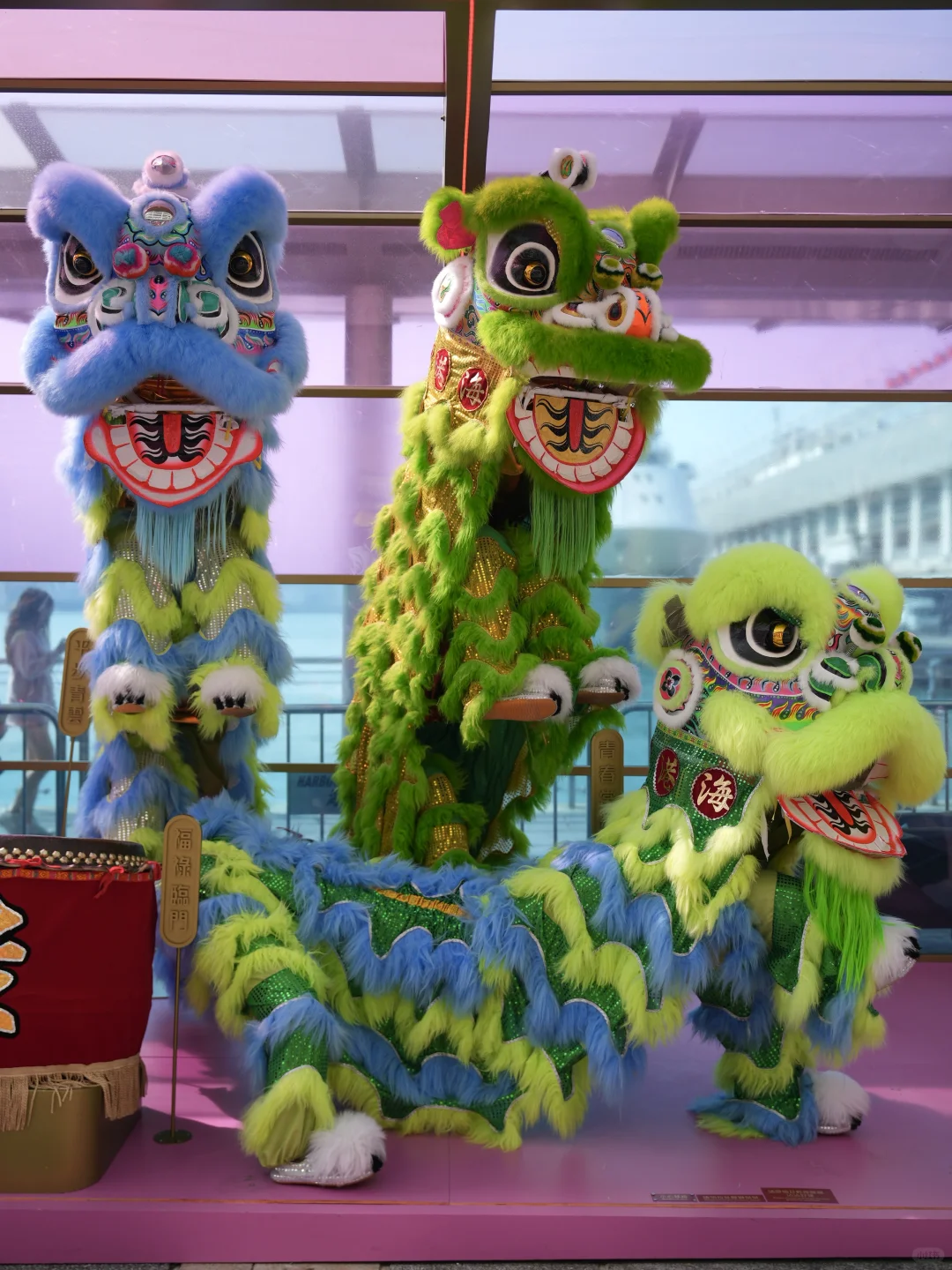 ??香港2025春节年味大赏｜保姆级大汇总?