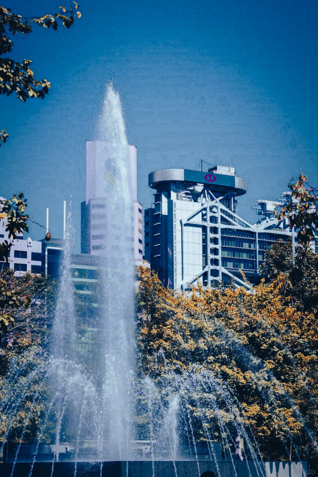 会展中心-太平山顶