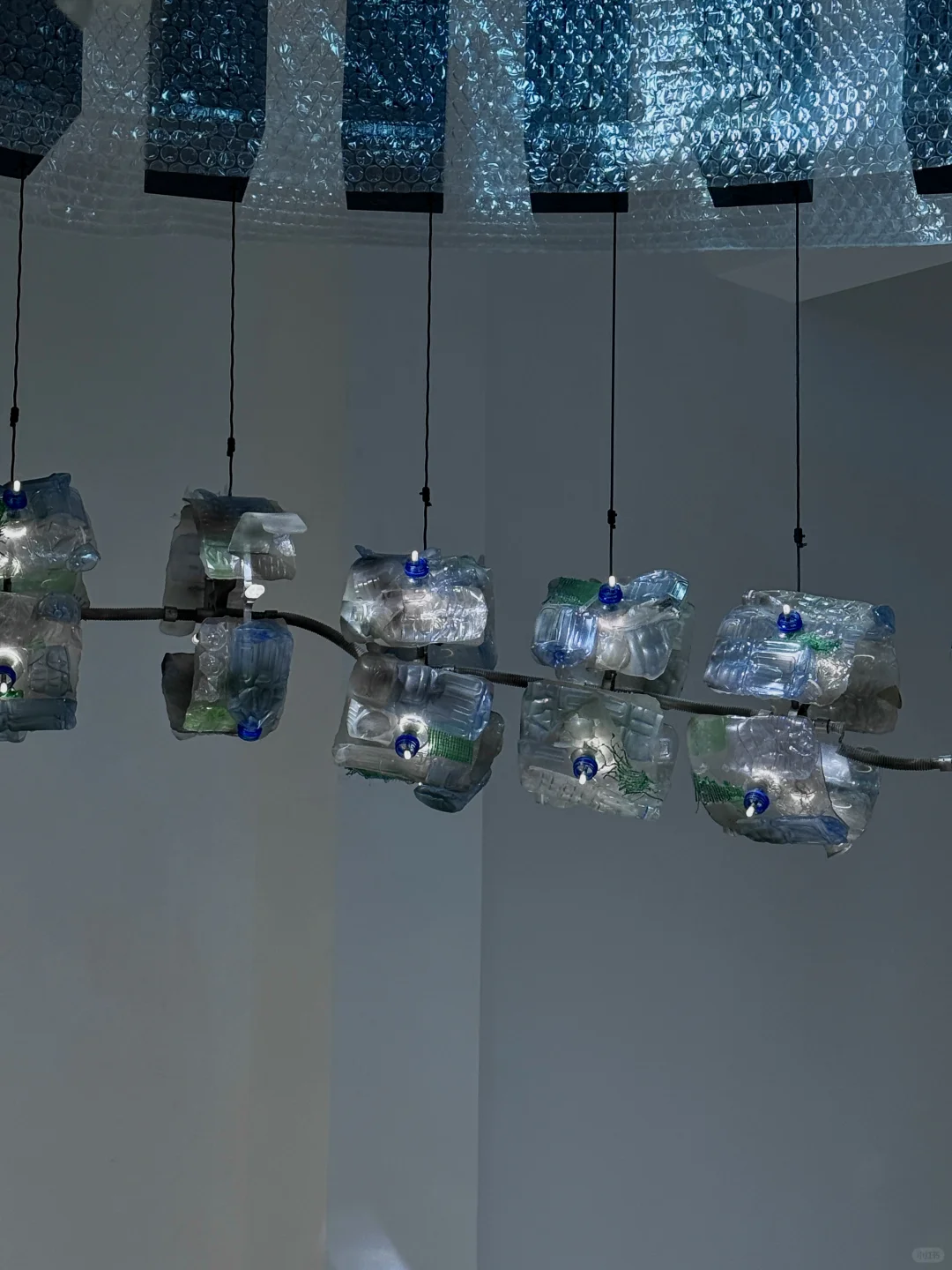 上海免费新展??️?Plankton