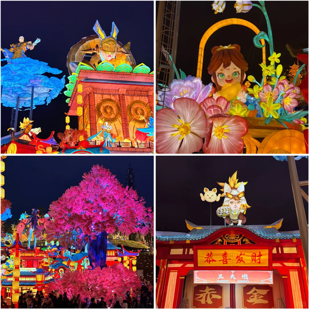 自贡— 2025年灯会展 ?