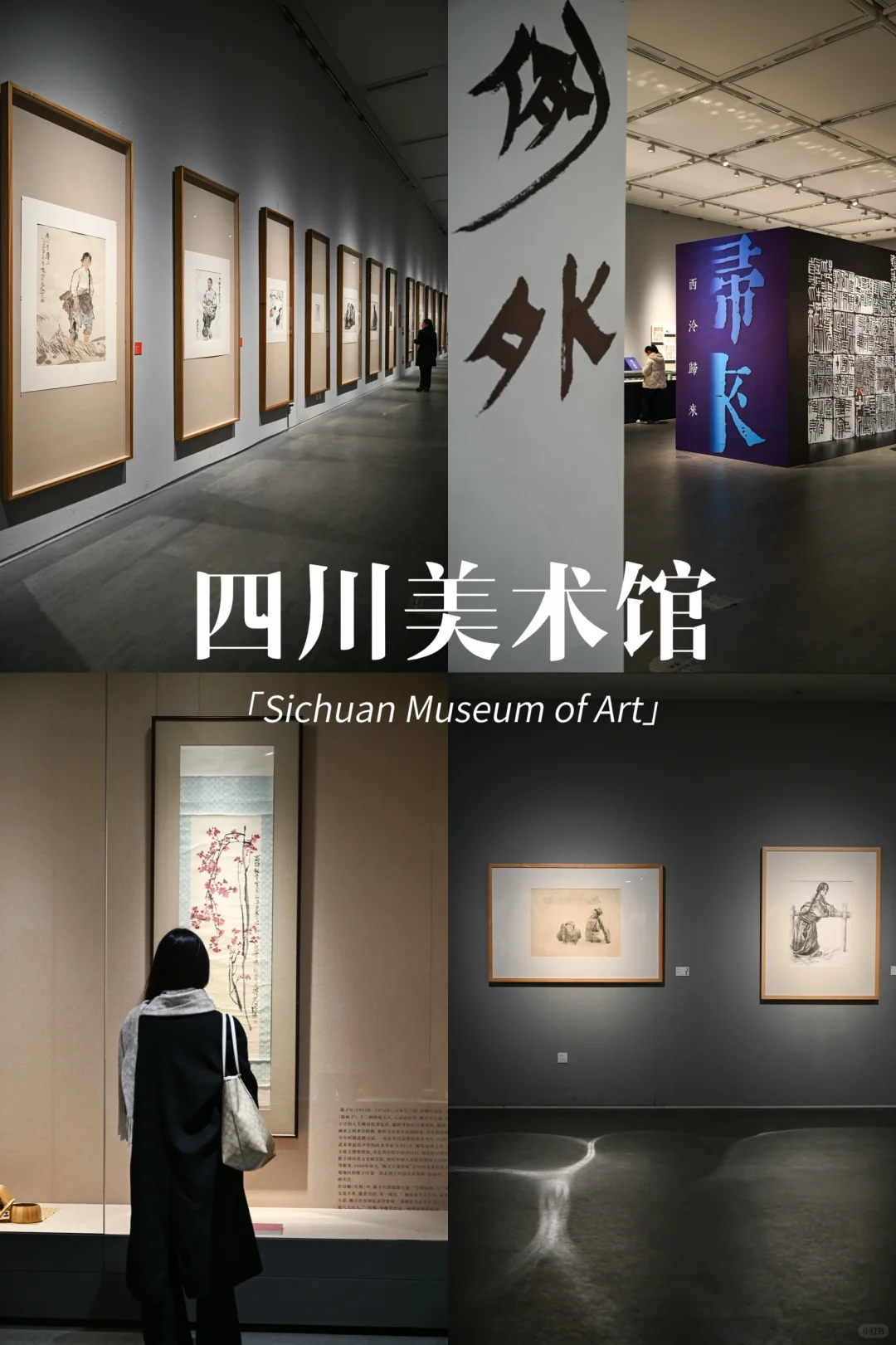 成都2月看展必备！都是实拍图！春节均开放