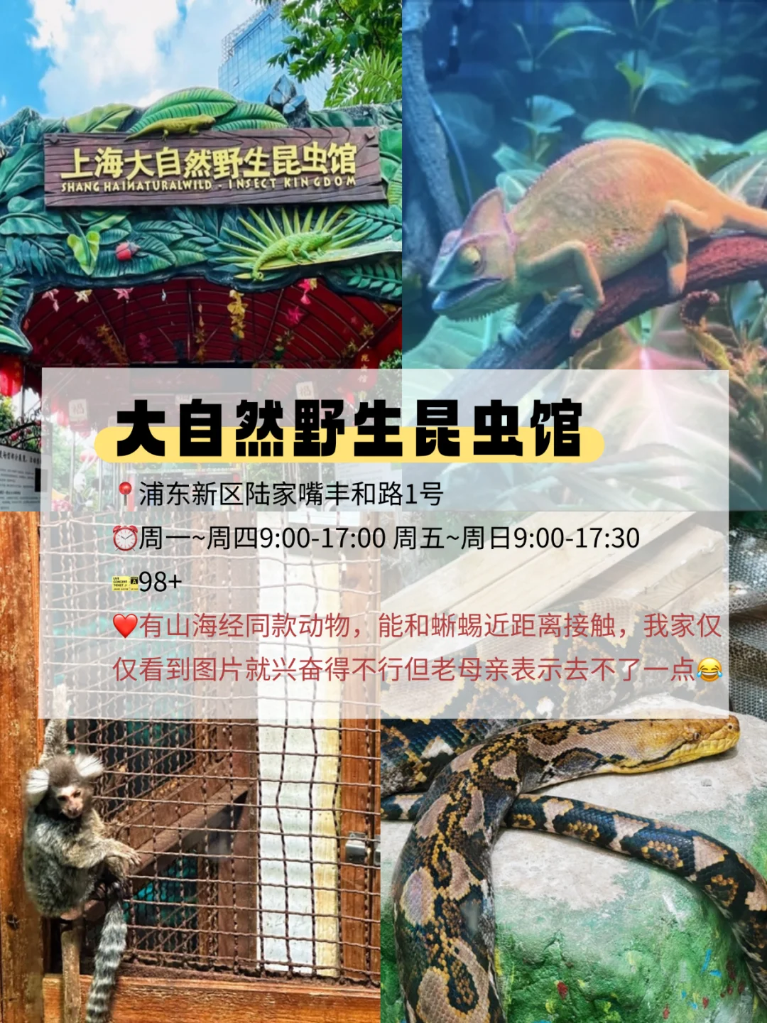男孩必去❗️❗️这7个高能博物馆，爸爸带着逛