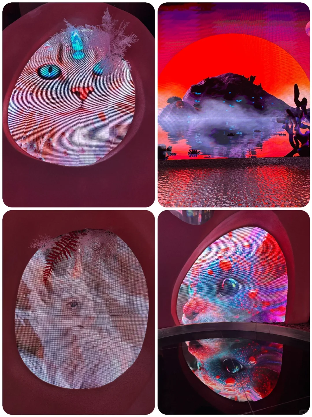 超震撼‼️寒假带娃来北京不可错过的艺术展❗️