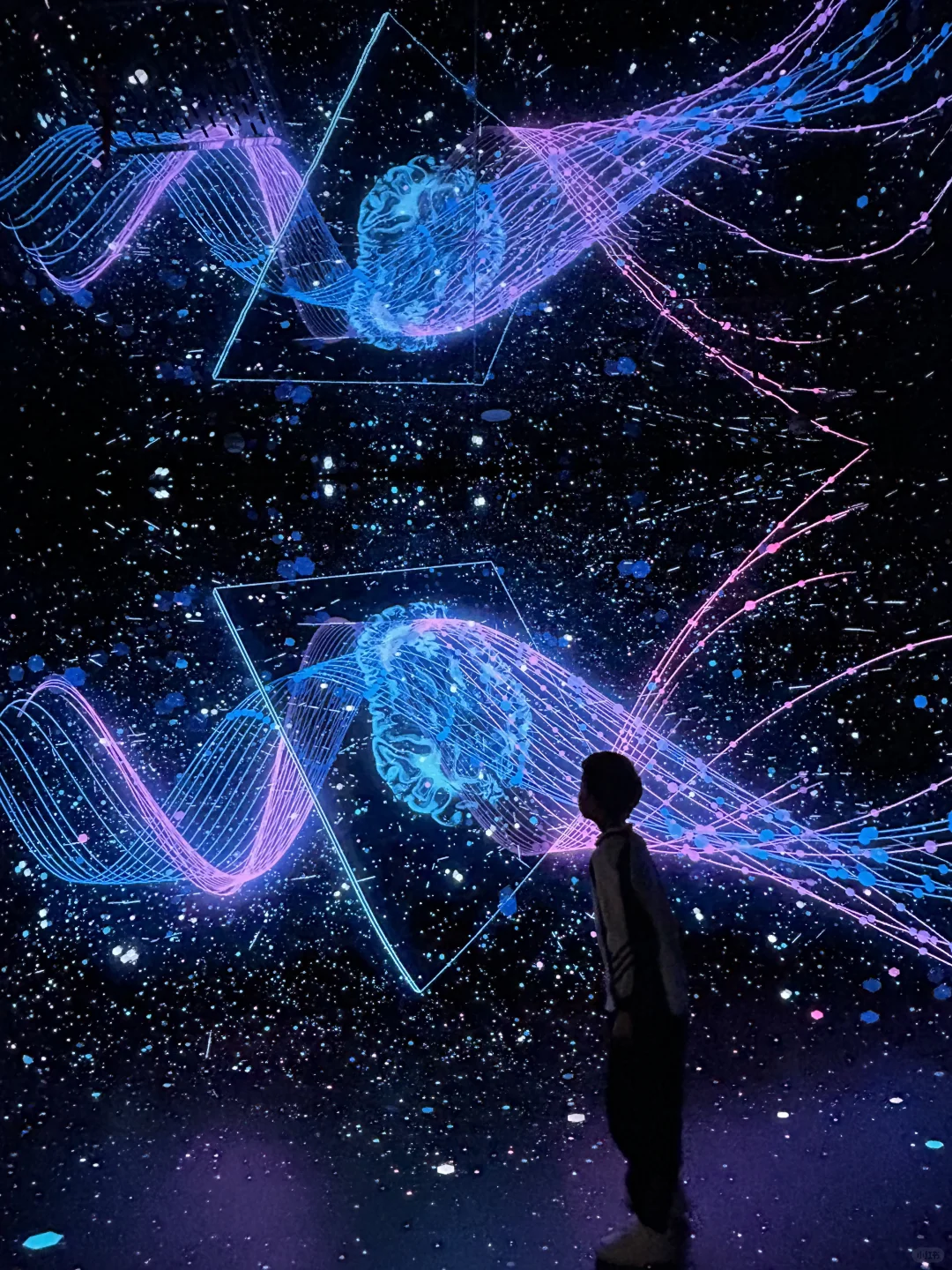 超震撼‼️寒假带娃来北京不可错过的艺术展❗️