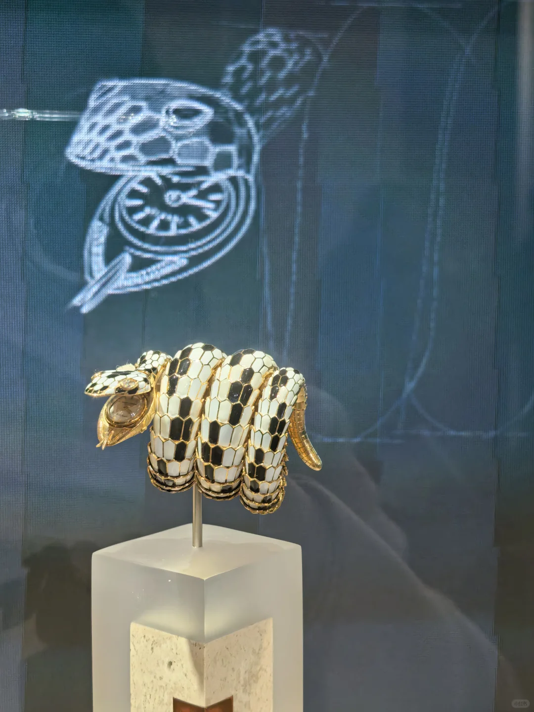 宝格丽×张园蛇年特展