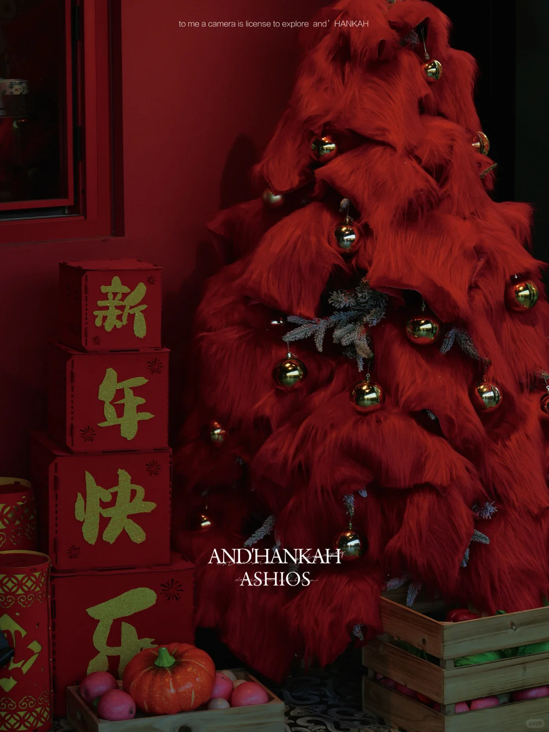 还是上海蟠龙天地会！接住了春节这波流量啊！