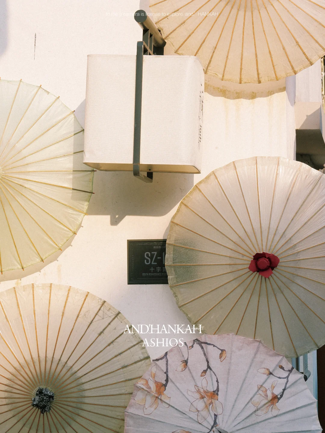 还是上海蟠龙天地会！接住了春节这波流量啊！