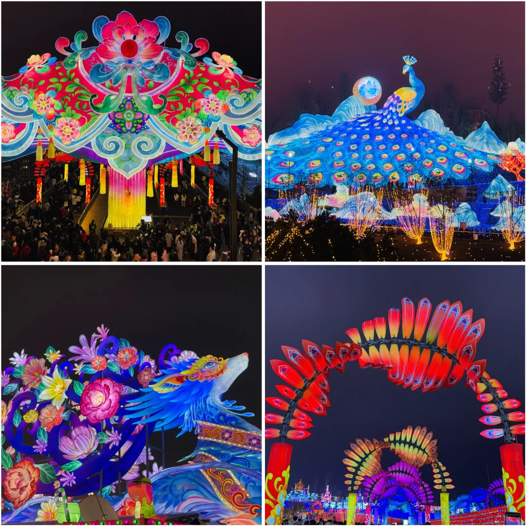 自贡— 2025年灯会展 ?