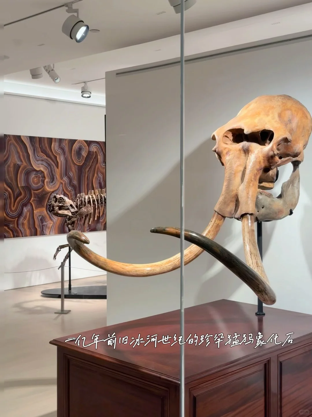 ??苏富比 | 这是我不花钱就能看的吗！！！