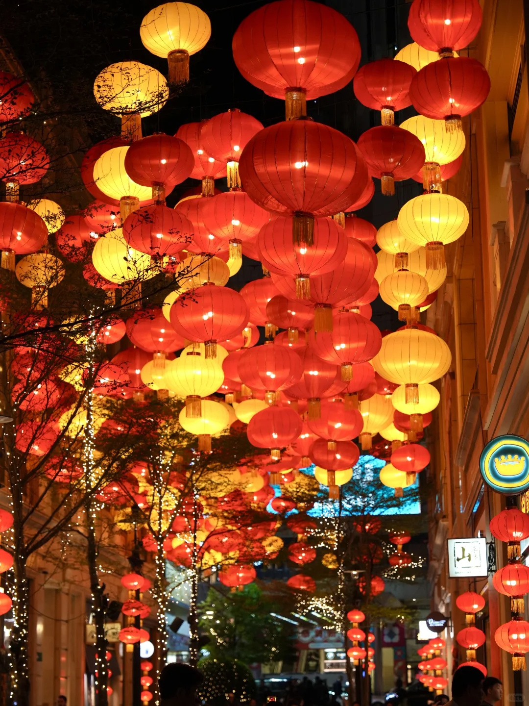 ??香港2025春节年味大赏｜保姆级大汇总?