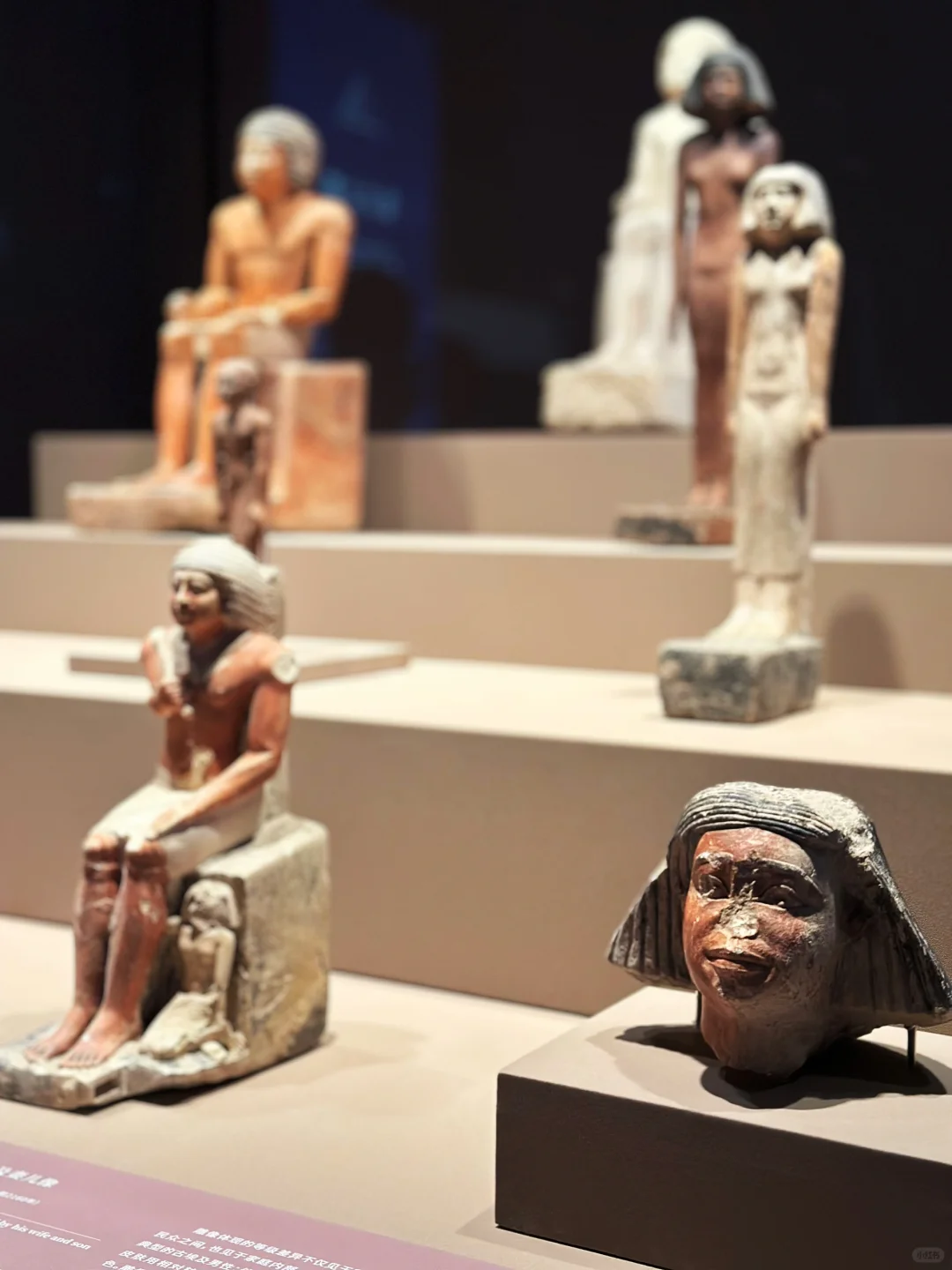 上海埃及展超全攻略❗️看完这篇就够了