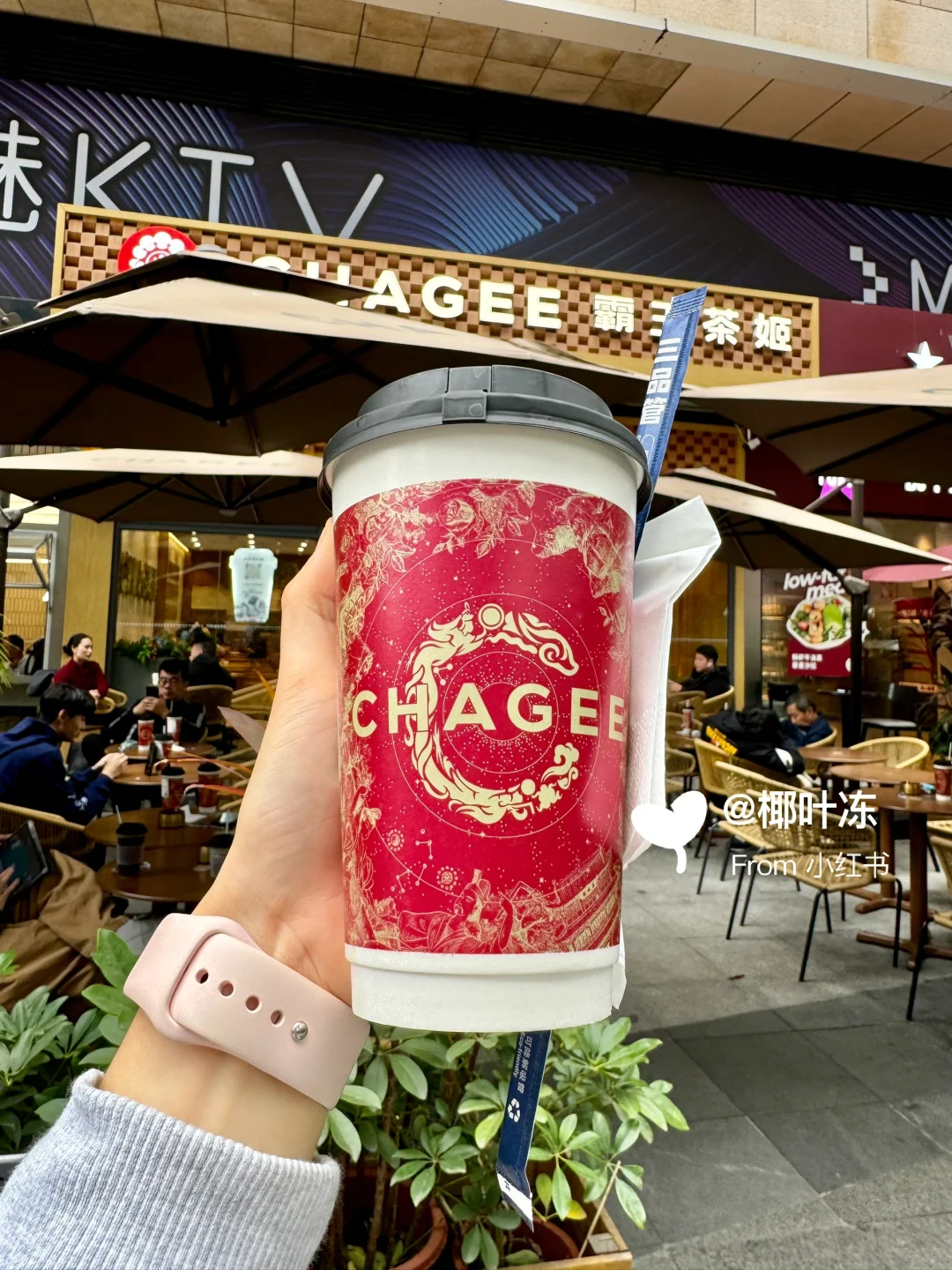 今日福田走走逛逛打卡随机?毛