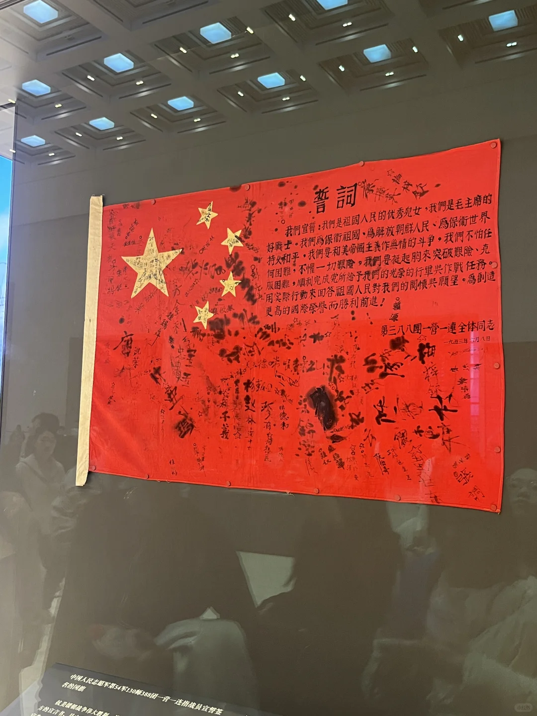 国博会惩罚每一个不做攻略的人