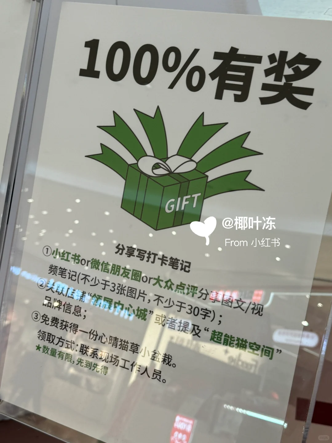 今日福田走走逛逛打卡随机?毛