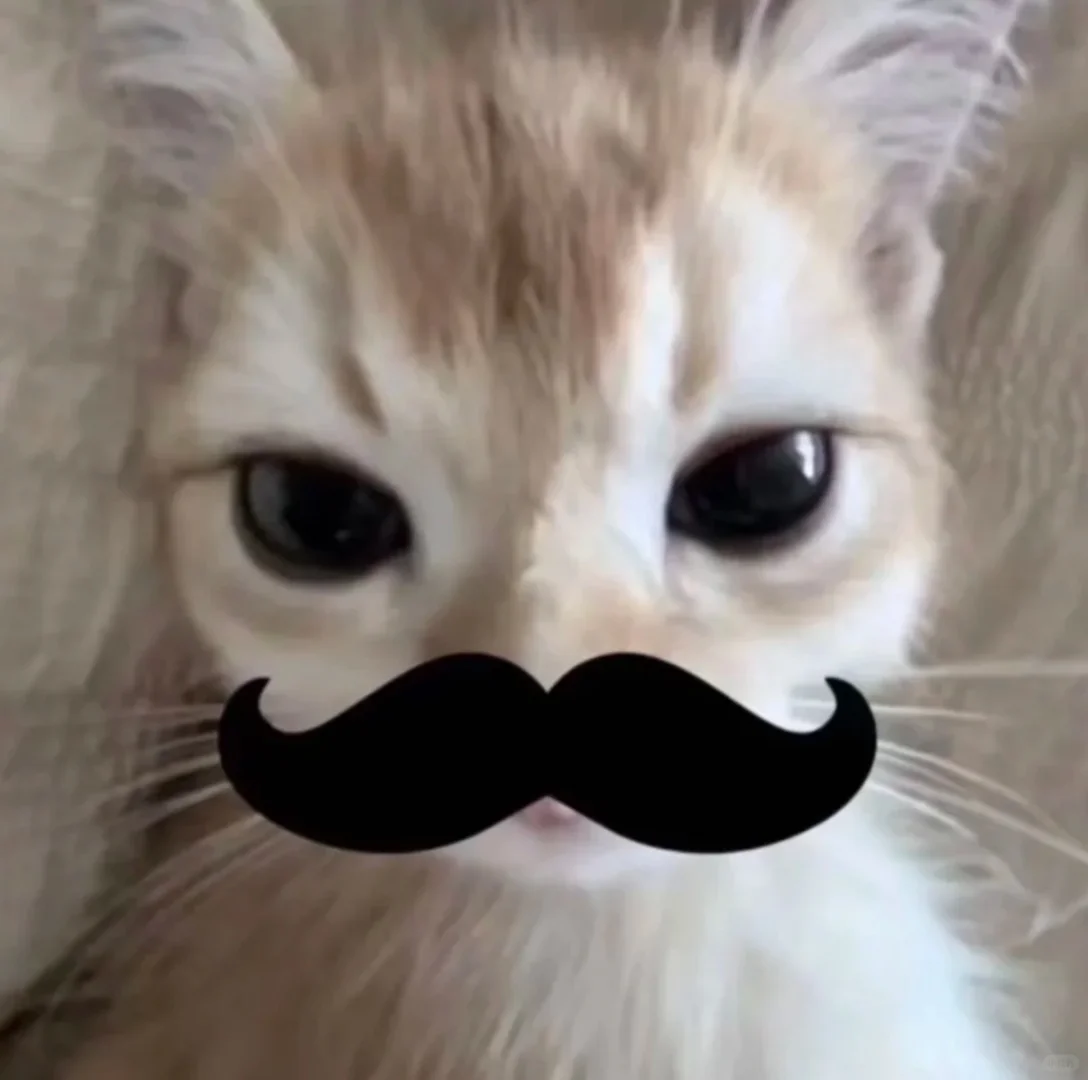 长春2月14号会展中心有摄影吗