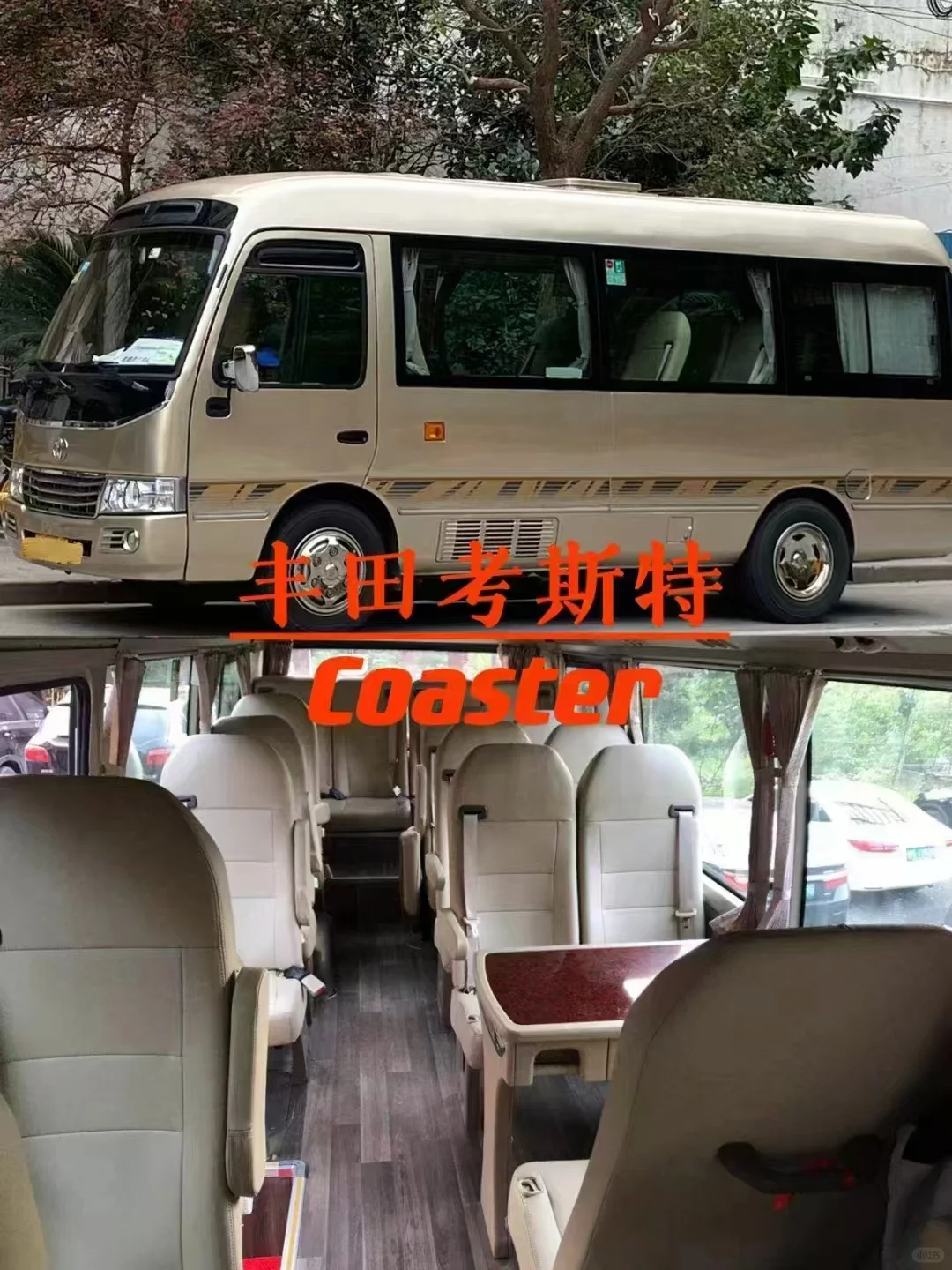 福州考斯特中巴gl8包车会议+会展+旅游+公务