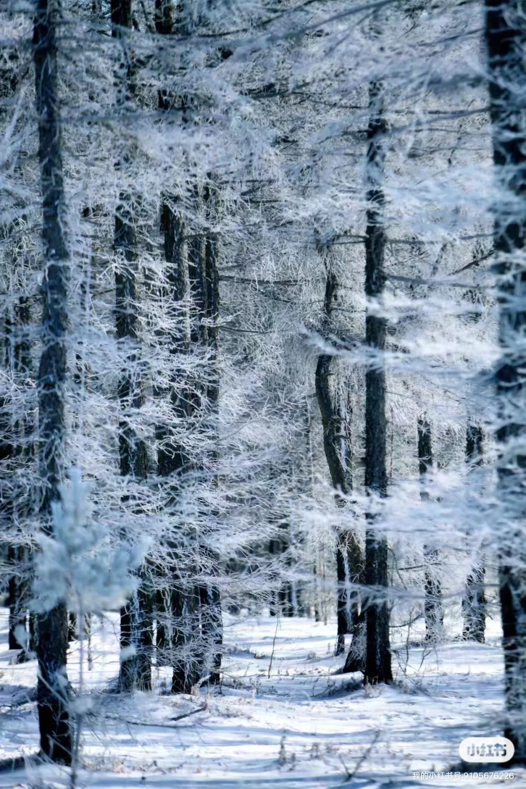 邯郸国际会展中心阿波罗公馆