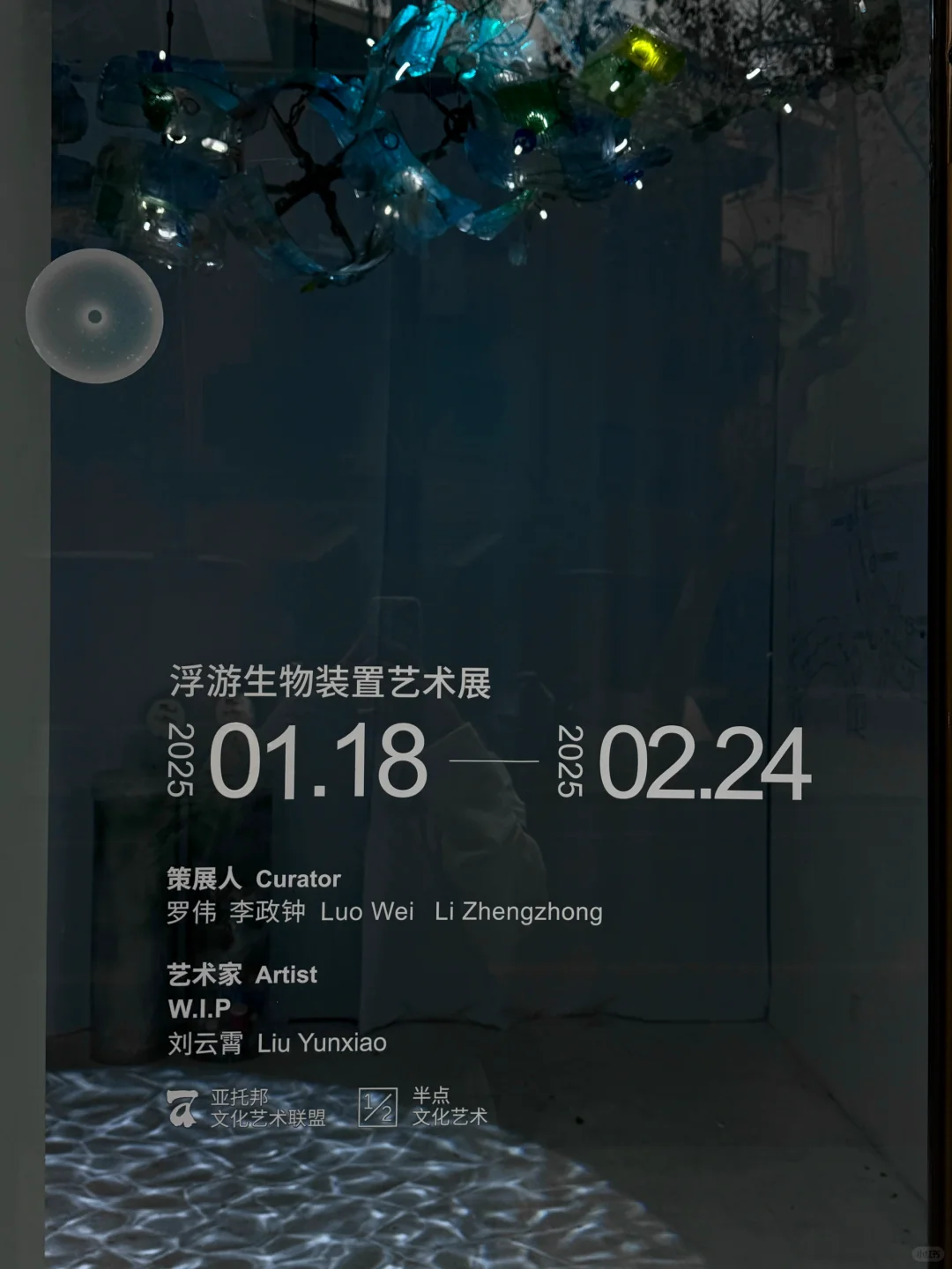 上海免费新展??️?Plankton