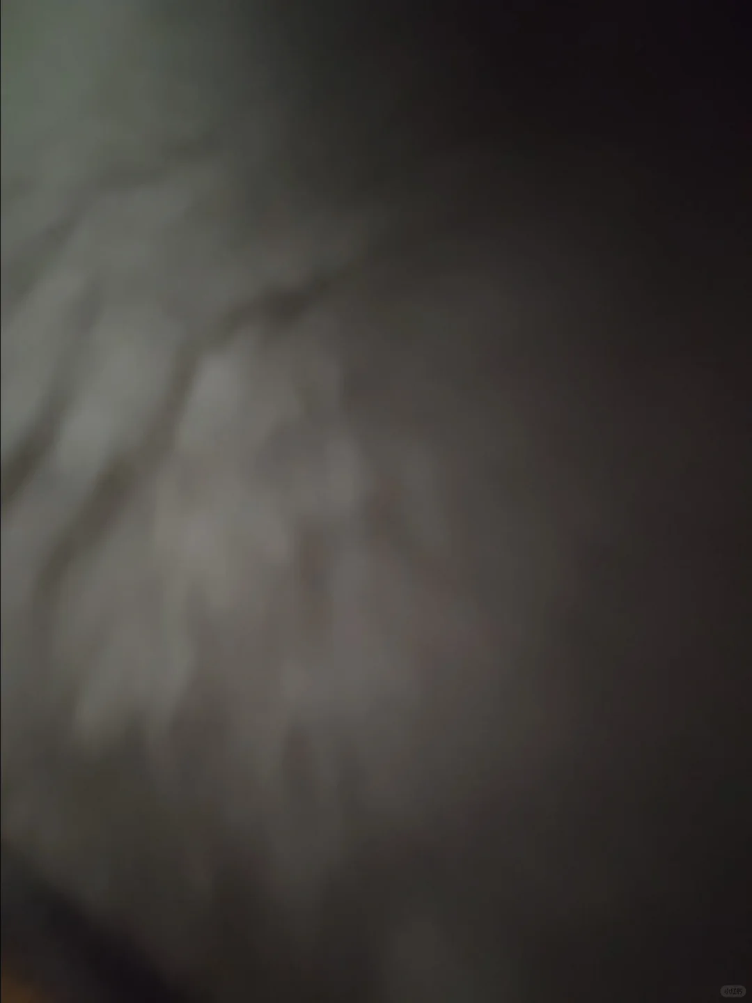 会展策划与管理