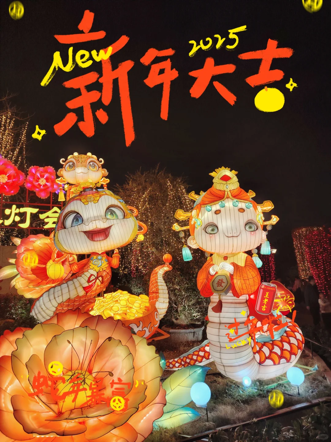 哇！不能错过的，南宁青秀山迎新灯会展！