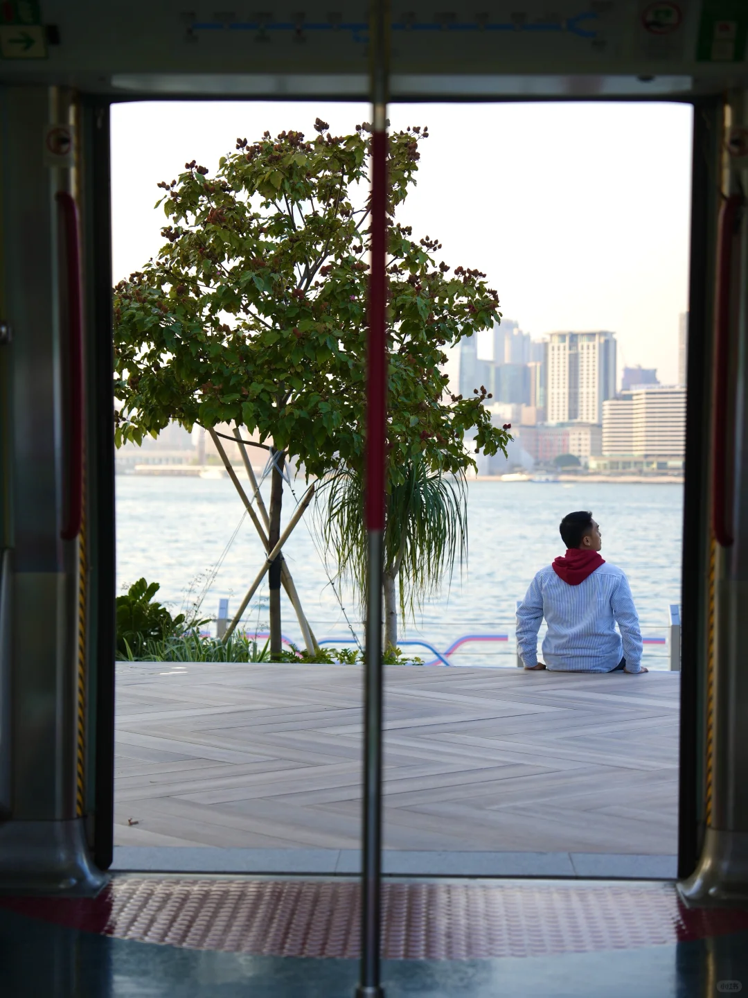 ??香港2025春节年味大赏｜保姆级大汇总?