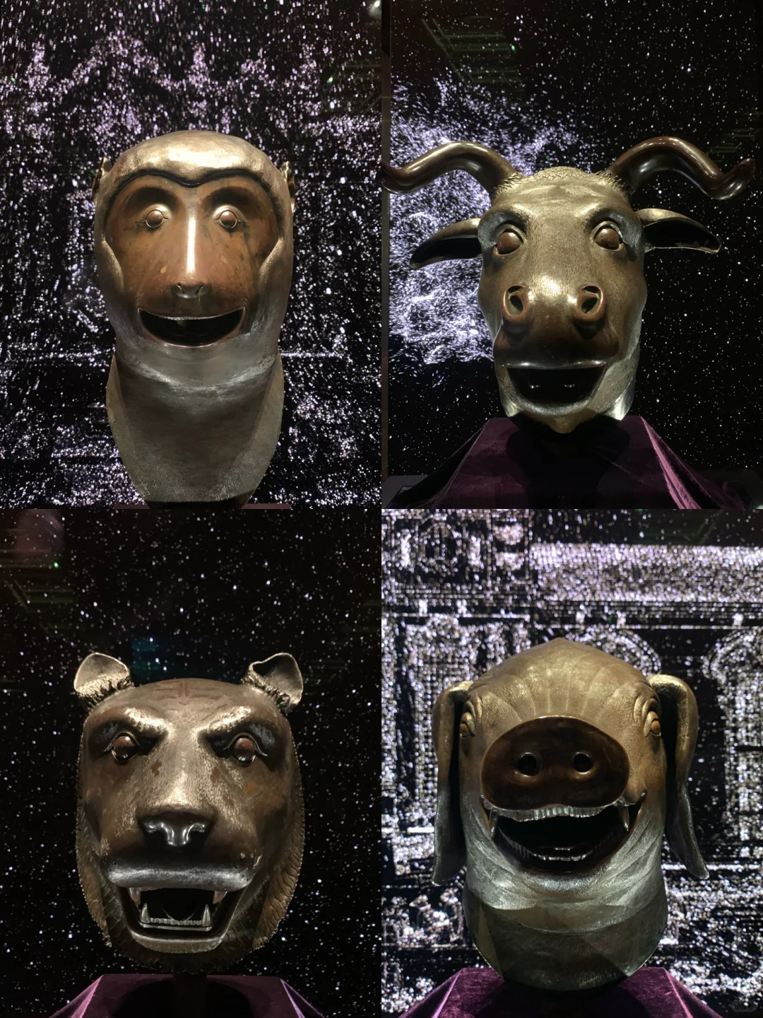 不用预约也能看‼️教你快速?免费领票看兽首