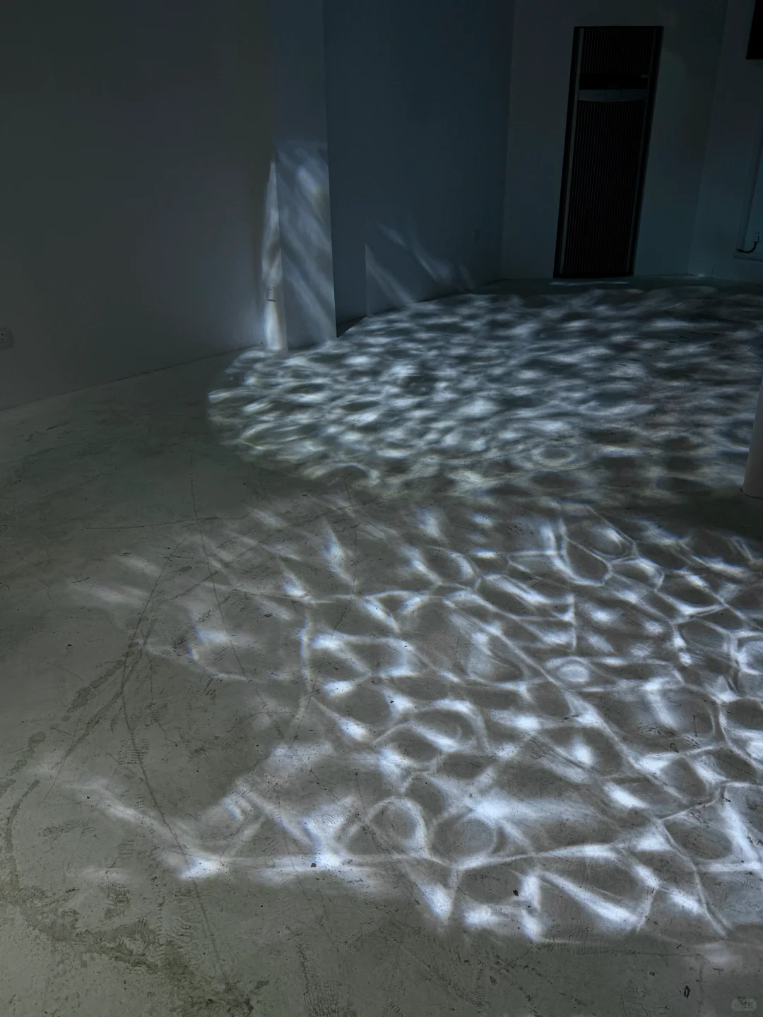 上海免费新展??️?Plankton