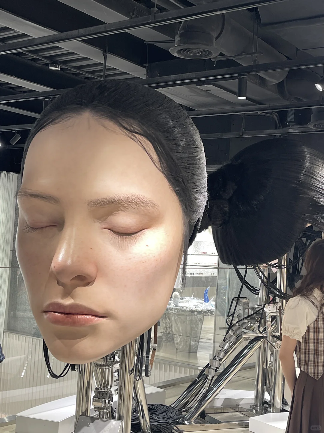 周末来个巨人展吧！?！｜上海GM巨人展