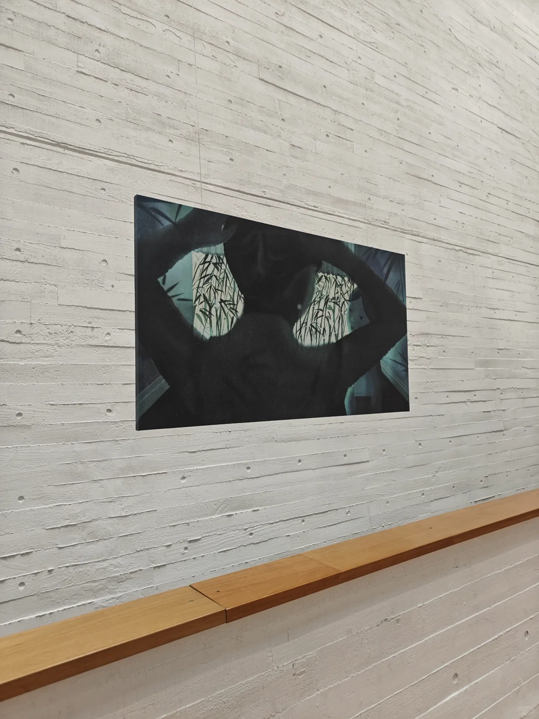 今日份的艺术展