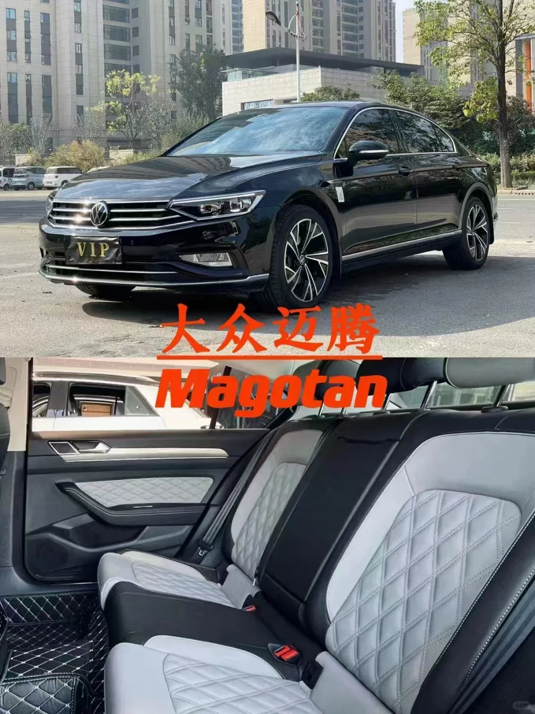 福州考斯特中巴gl8包车会议+会展+旅游+公务