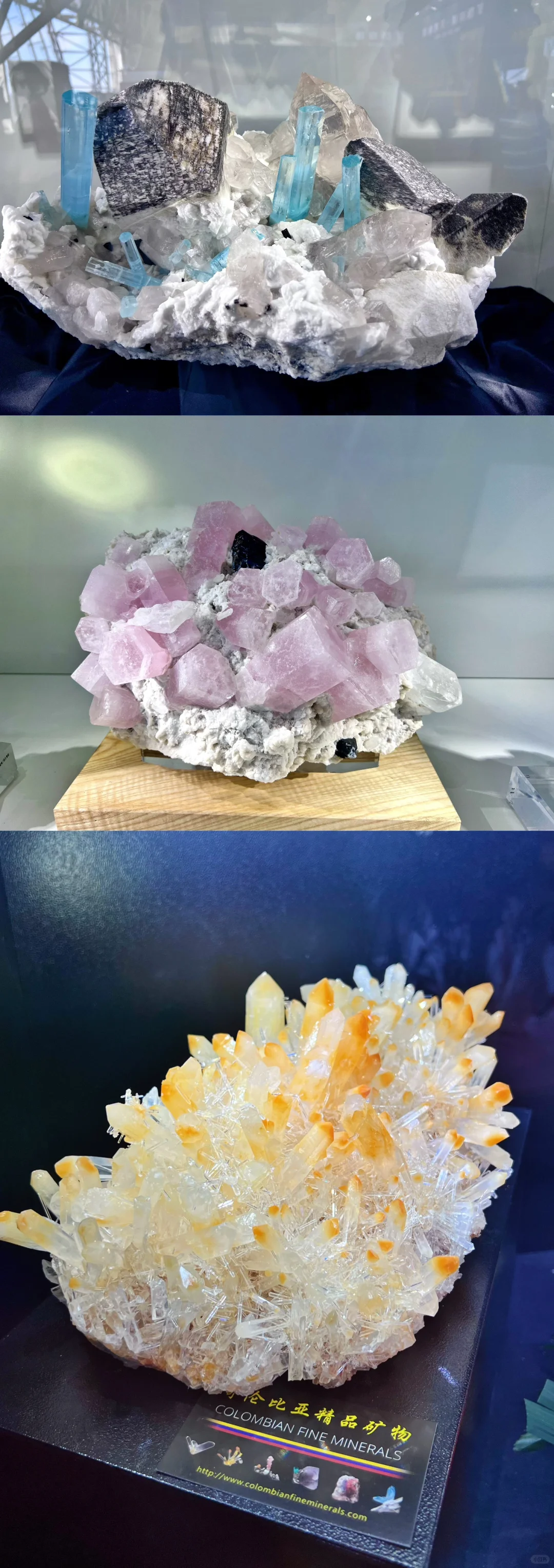 南京矿博会｜爱石头的人会疯吧