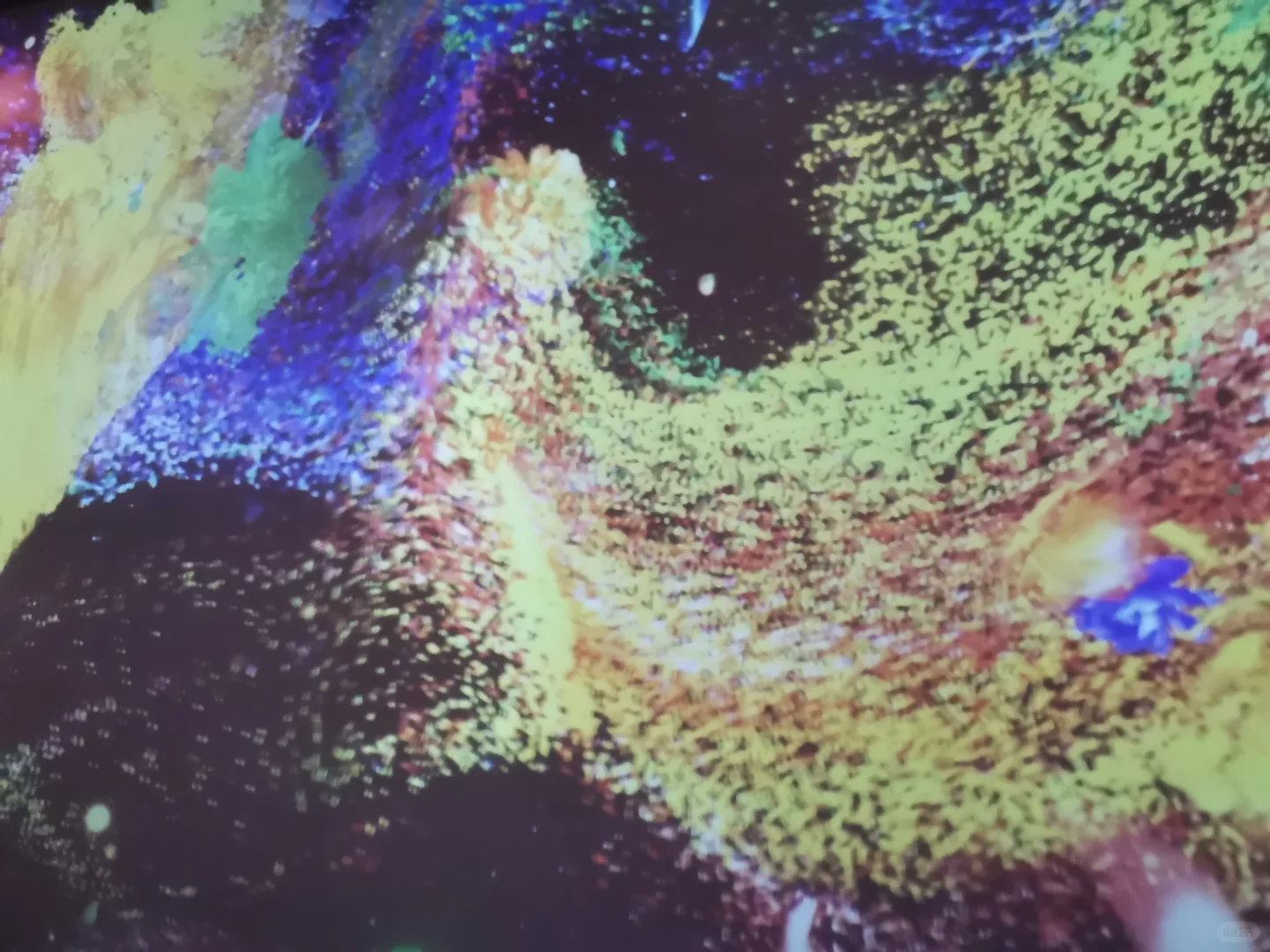 假如美的尽头是色彩的斑斓